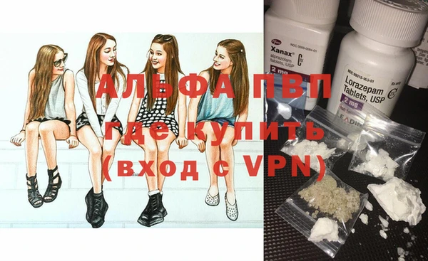 мяу мяу мука Абаза